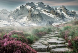 赛尔号2目灵兽能秒人吗，赛尔号2精灵图鉴